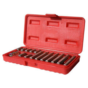 JGO. 15 PUNTAS TORX  T20 a T55